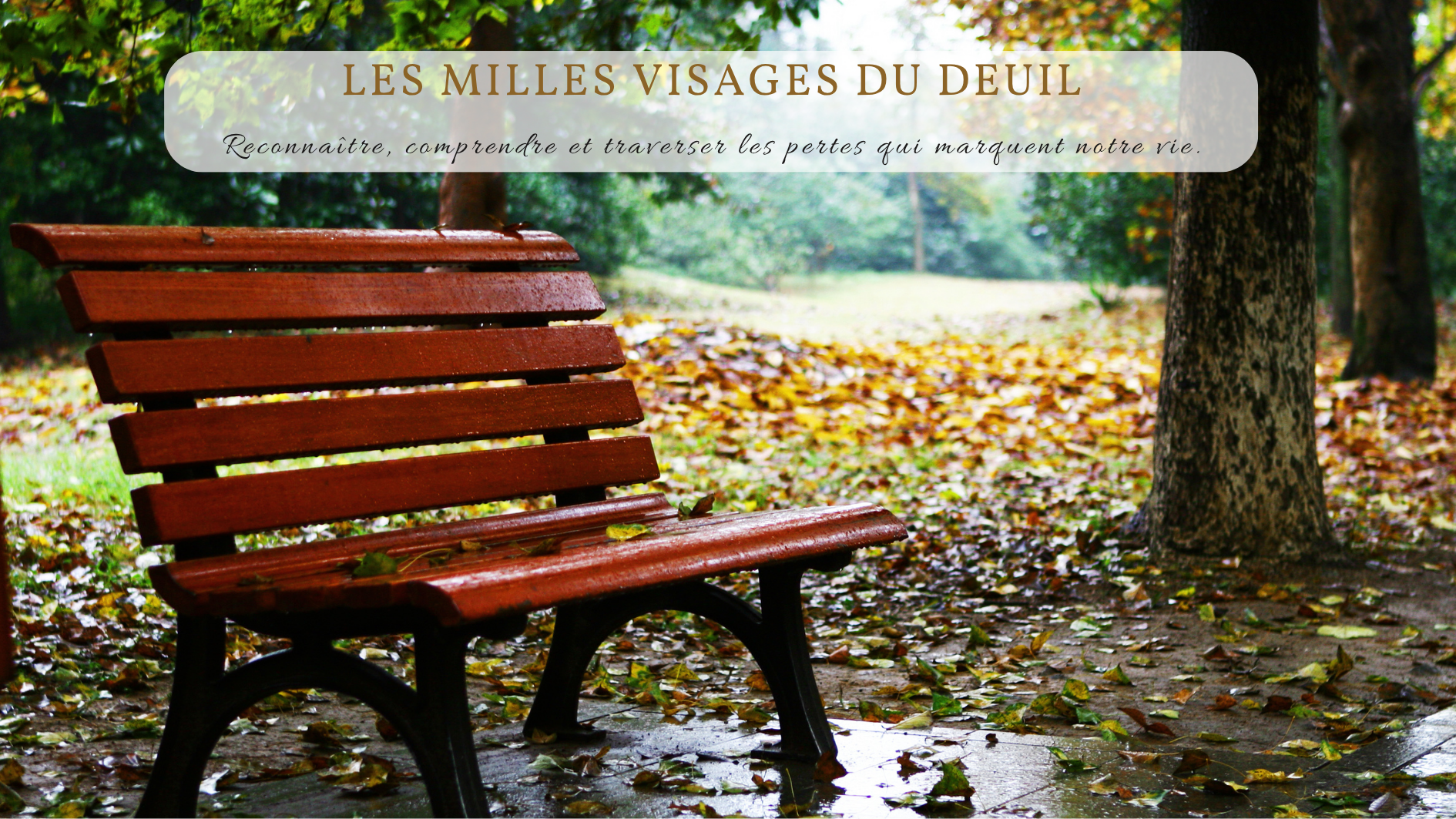 Banc vide dans un parc automnal, symbole des visages multiples du deuil et des transitions de vie, accompagnés par une coach bienveillante.