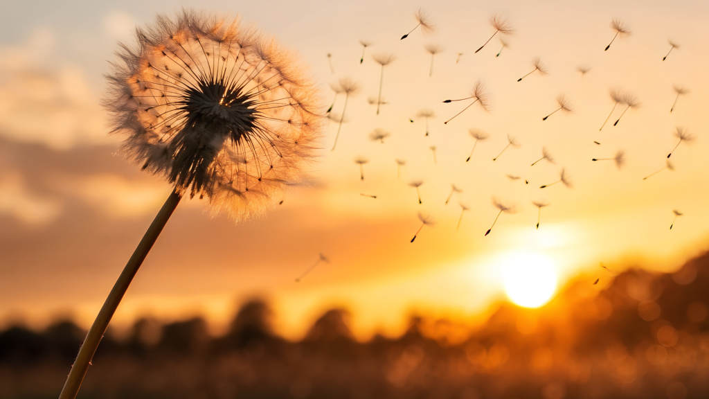 Claudine Blier, coach en deuil et désencombrement émotionnel, présente l’événement Souffles et Murmures – une soirée de poésie pour oser être soi et se reconnecter à son essence.