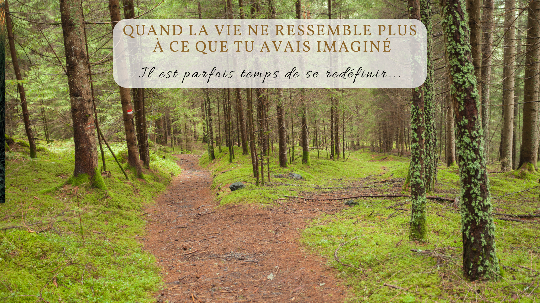 Sentier qui se sépare en deux symbolisant un moment de vie où une personne peut se redéfinir après une épreuve ou un deuil.