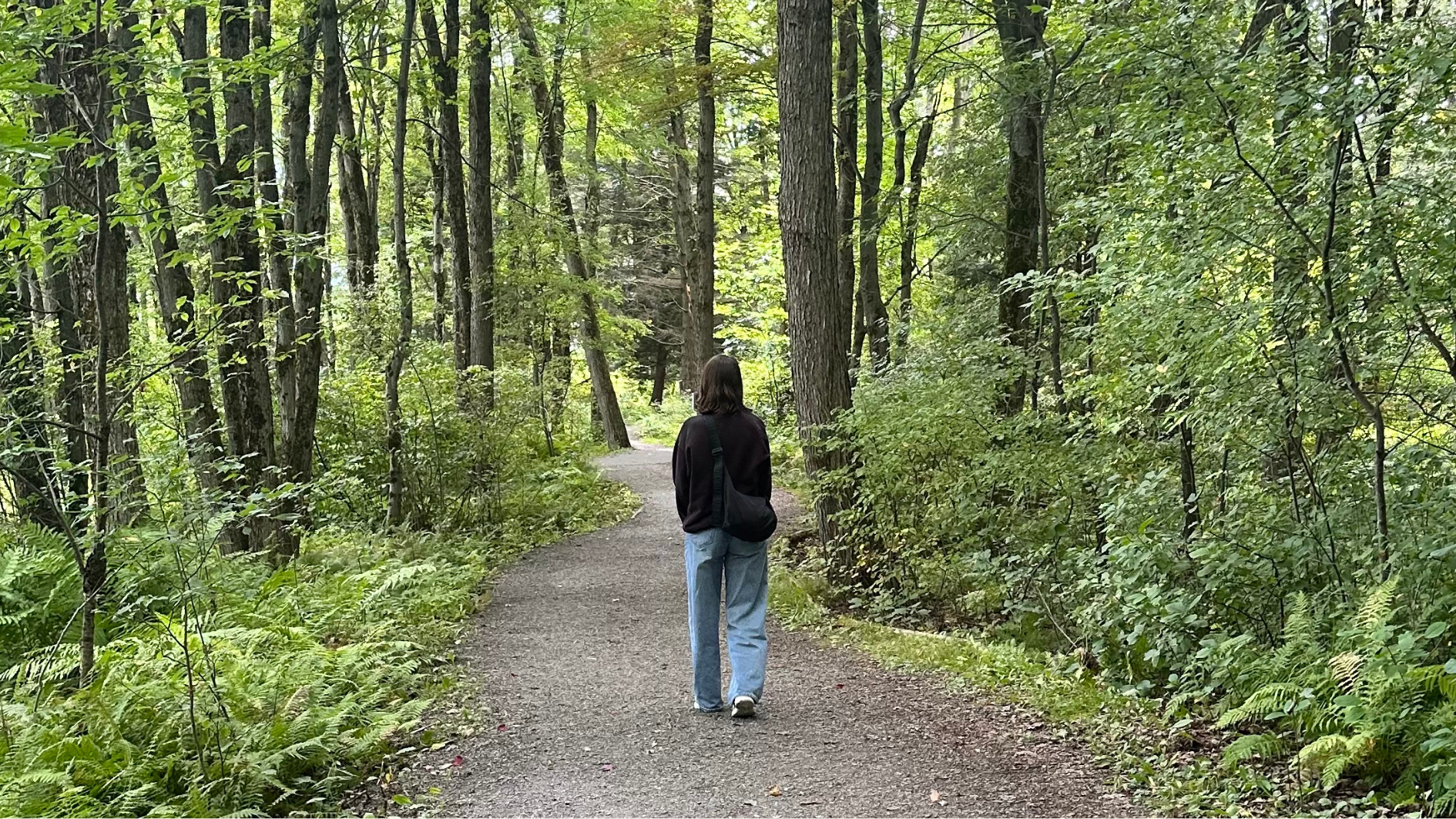 Une femme marche seule sur un sentier en forêt, dans un moment de retour vers soi.